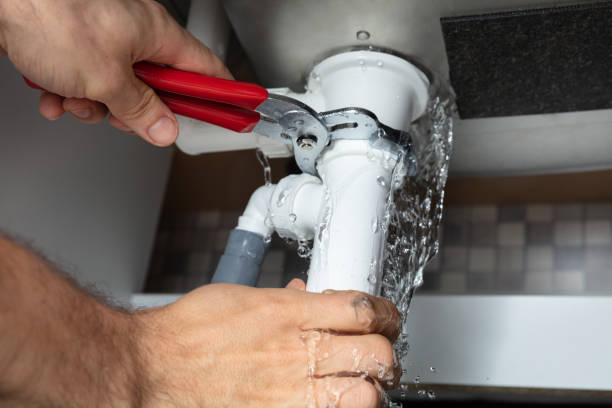 Best Ceiling water damage repair  in Millbourne, PA
