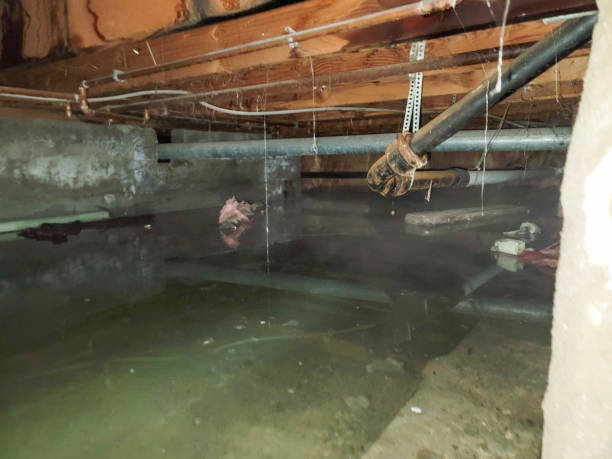 Water damage restoration mold remediation in Millbourne, PA