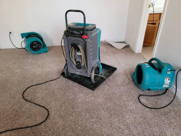 Best 24/7 water damage repair  in Millbourne, PA