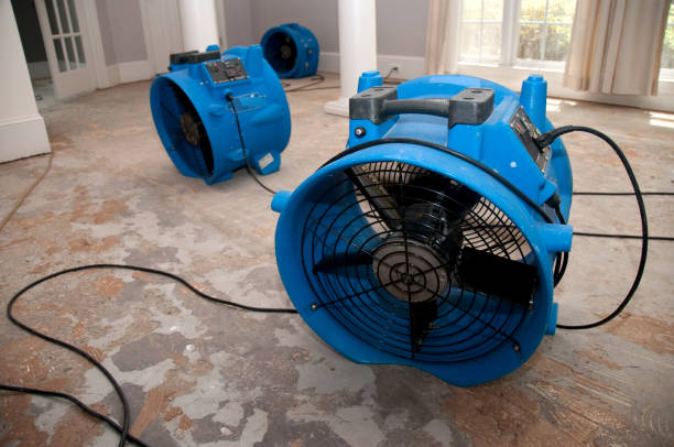 Best Flooded house restoration  in Millbourne, PA