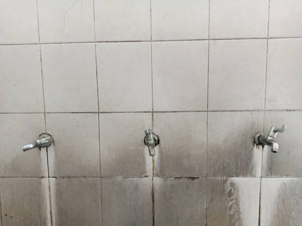 Best Water damage restoration mold remediation  in Millbourne, PA