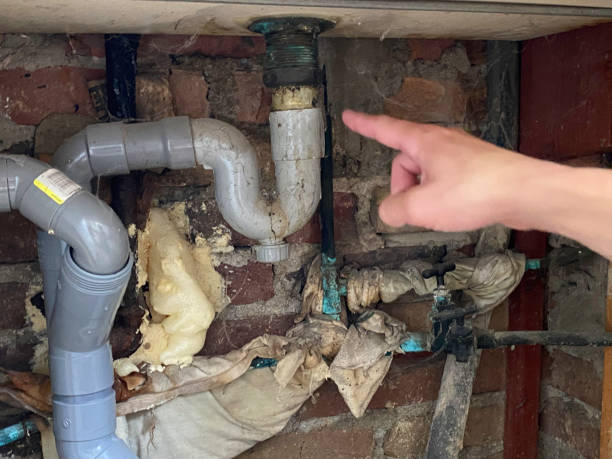 Best Flood damage cleanup  in Millbourne, PA